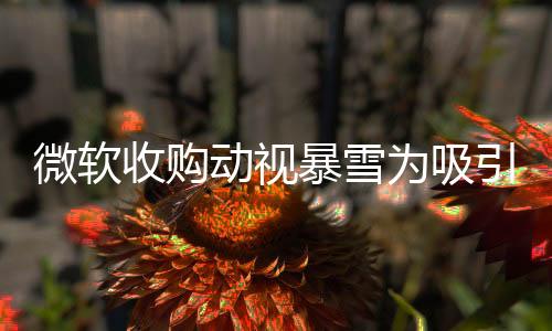 微軟收購(gòu)動(dòng)視暴雪為吸引更多玩家訂閱服務(wù) 收效不佳