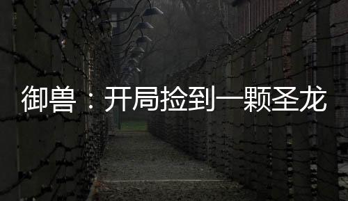 御獸：開局撿到一顆圣龍蛋