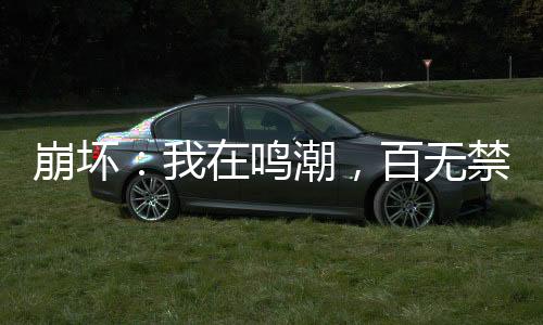 崩壞：我在鳴潮，百無禁忌！