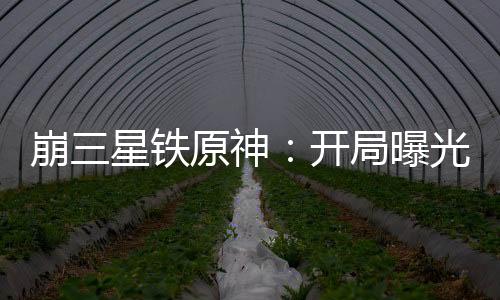 崩三星鐵原神：開(kāi)局曝光第四天災(zāi)