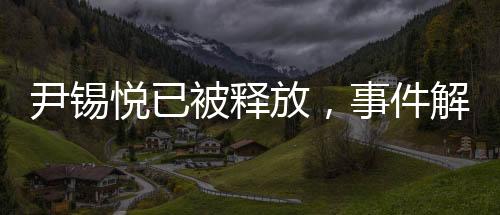 尹錫悅已被釋放，事件解析與后續(xù)觀察