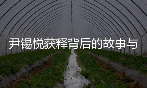 尹錫悅獲釋背后的故事與探究，錯綜復(fù)雜的局面下的新發(fā)展動態(tài)