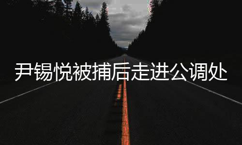 尹錫悅被捕后走進公調處畫面曝光，事件內幕揭秘