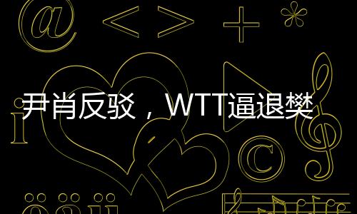 尹肖反駁，WTT逼退樊振東純屬顛倒黑白——揭露真相的報(bào)道