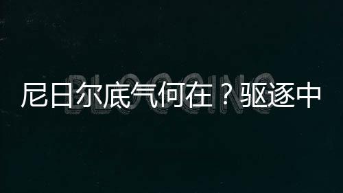 尼日爾底氣何在？驅(qū)逐中石油高管事件深度解析