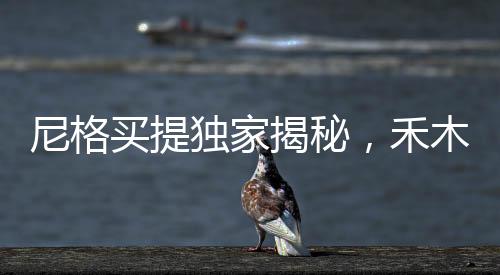尼格買提獨(dú)家揭秘，禾木村神秘結(jié)界獸蹤跡揭秘