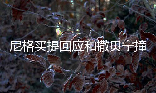 尼格買提回應和撒貝寧撞臉結界獸事件，跨界碰撞引熱議