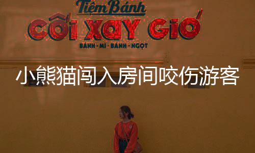 小熊貓闖入房間咬傷游客事件引發(fā)關(guān)注