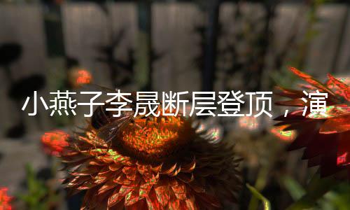 小燕子李晟斷層登頂，演藝巔峰之路
