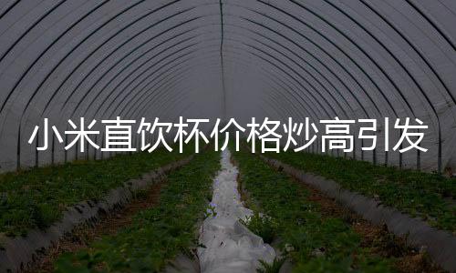 小米直飲杯價格炒高引發(fā)關(guān)注，市場現(xiàn)象背后的探究