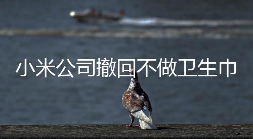 小米公司撤回不做衛(wèi)生巾聲明，引發(fā)業(yè)界關注的一波轉折