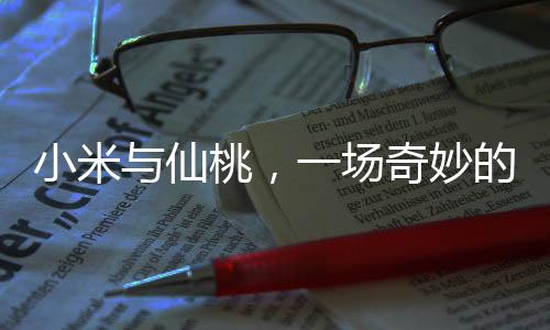 小米與仙桃，一場奇妙的倒字之旅