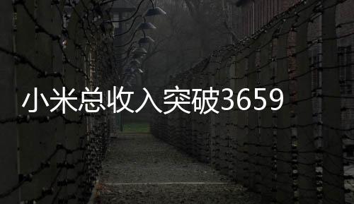 小米總收入突破3659億，去年業(yè)務(wù)大盤點