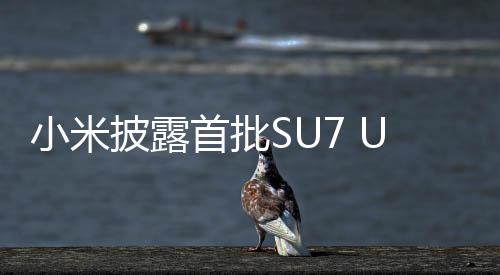 小米披露首批SU7 Ultra車主用戶畫像，揭示高端智能電動汽車用戶的特征