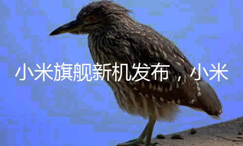 小米旗艦新機(jī)發(fā)布，小米15Ultra雙拼色引領(lǐng)潮流