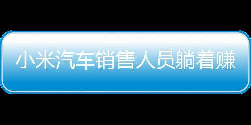 小米汽車銷售人員躺著賺錢的現(xiàn)象深度解析