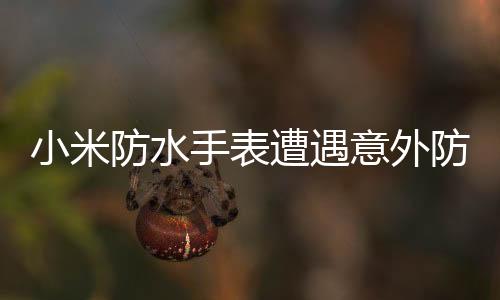 小米防水手表遭遇意外防水失效問題，消費(fèi)者的維權(quán)挑戰(zhàn)與品牌的保修決策揭秘