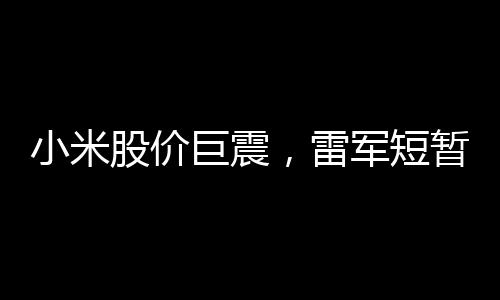 小米股價巨震，雷軍短暫登頂中國首富——一場資本與實(shí)力的較量
