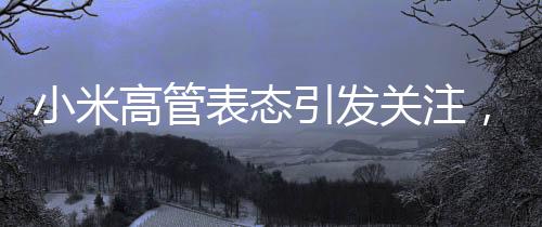 小米高管表態(tài)引發(fā)關(guān)注，衛(wèi)生巾項(xiàng)目真的做不了嗎？