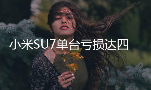 小米SU7單臺(tái)虧損達(dá)四萬五千元，深入解讀背后的原因與應(yīng)對策略