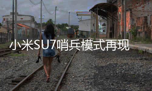 小米SU7哨兵模式再現(xiàn)神奇功能，案發(fā)車周監(jiān)控還原紀(jì)實(shí)