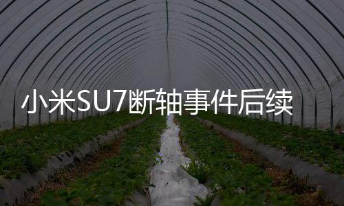 小米SU7斷軸事件后續(xù)，車(chē)主承認(rèn)欺瞞網(wǎng)友，引發(fā)深度反思