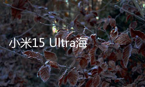 小米15 Ultra海外售價超iPhone，引發(fā)高端市場新競爭格局