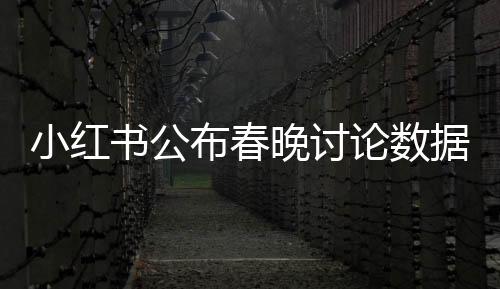 小紅書(shū)公布春晚討論數(shù)據(jù)，掀起全民熱議的浪潮