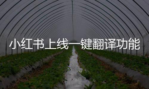 小紅書上線一鍵翻譯功能，全球交流的新助力