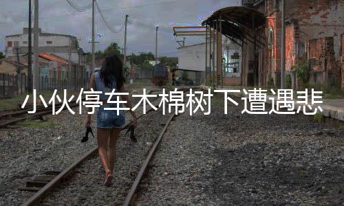 小伙停車(chē)木棉樹(shù)下遭遇悲劇，警示各方注意行車(chē)安全