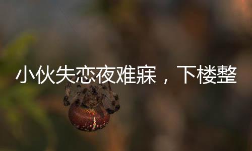小伙失戀夜難寐，下樓整理電瓶車展現(xiàn)獨(dú)特療愈方式