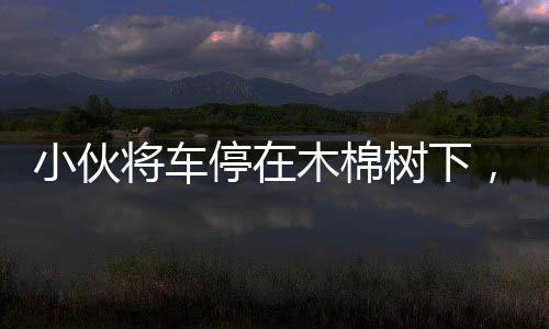 小伙將車停在木棉樹下，結(jié)果悲劇了