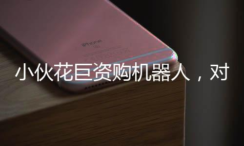 小伙花巨資購(gòu)機(jī)器人，對(duì)外租賃收入可觀