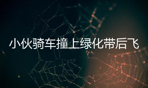 小伙騎車撞上綠化帶后飛進居民家事件始末