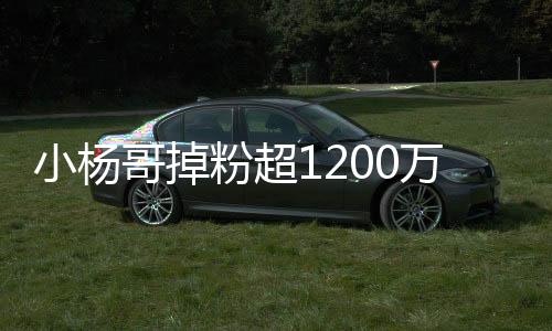 小楊哥掉粉超1200萬(wàn)，探究背后的原因與挑戰(zhàn)