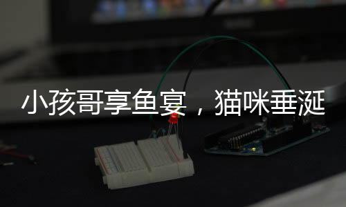 小孩哥享魚宴，貓咪垂涎欲哭