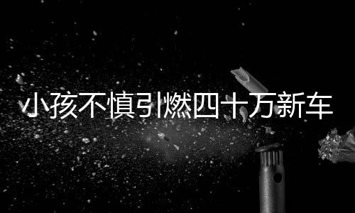 小孩不慎引燃四十萬新車，車主淡然又訂購一輛新座駕——究竟是怎樣的氣度和心態(tài)？