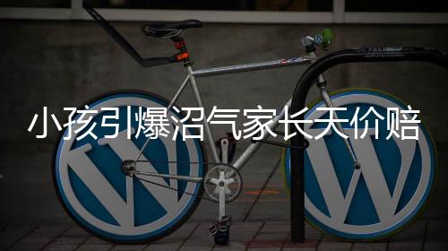 小孩引爆沼氣家長(zhǎng)天價(jià)賠償系謠言揭秘