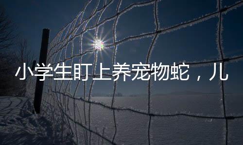小學(xué)生盯上養(yǎng)寵物蛇，兒童與爬行寵物的親密關(guān)系逐漸興起