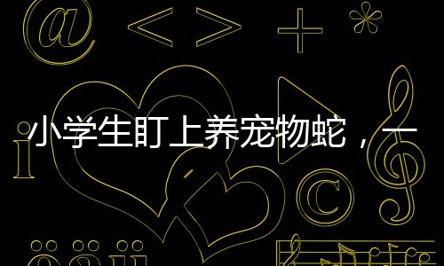 小學(xué)生盯上養(yǎng)寵物蛇，一種新興寵物熱潮下的關(guān)注與警示