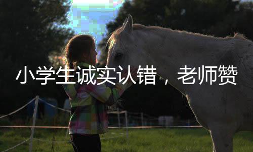 小學(xué)生誠實(shí)認(rèn)錯(cuò)，老師贊揚(yáng)其品質(zhì)——一次教育中的正向激勵(lì)故事