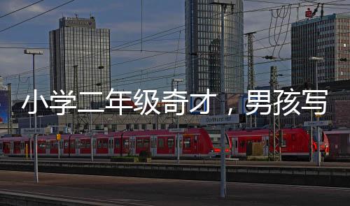 小學(xué)二年級奇才，男孩寫字堪比打印機