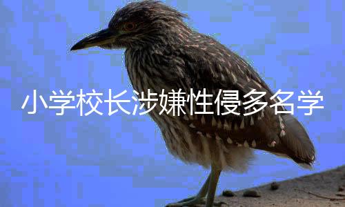 小學(xué)校長(zhǎng)涉嫌性侵多名學(xué)生庭審拒不認(rèn)罪的文章