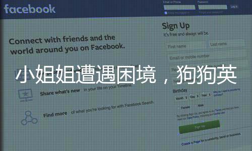 小姐姐遭遇困境，狗狗英勇出手——一起見證人與寵物的默契時刻