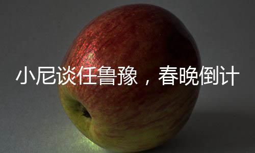 小尼談任魯豫，春晚倒計(jì)時(shí)下的壓力擔(dān)當(dāng)