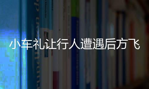 小車禮讓行人遭遇后方飛速追尾事件