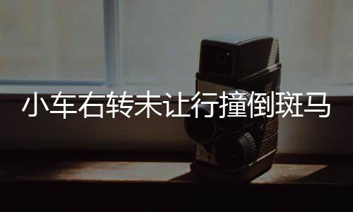 小車右轉(zhuǎn)未讓行撞倒斑馬線上行人事件引發(fā)社會關(guān)注