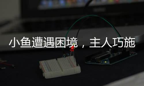 小魚(yú)遭遇困境，主人巧施妙計(jì)——綁口罩助魚(yú)保持平衡
