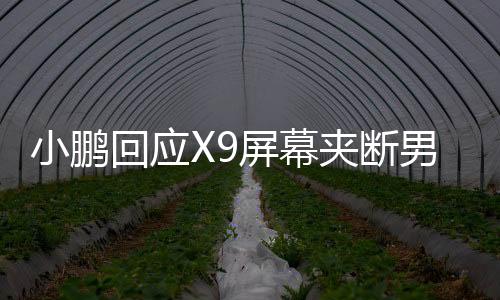 小鵬回應(yīng)X9屏幕夾斷男童食指事件，真相、措施與社會責(zé)任