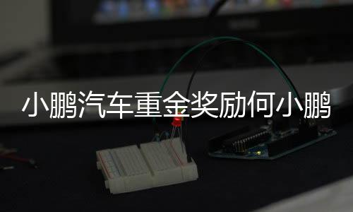 小鵬汽車重金獎(jiǎng)勵(lì)何小鵬，若達(dá)成條件將價(jià)值142.5億港元
